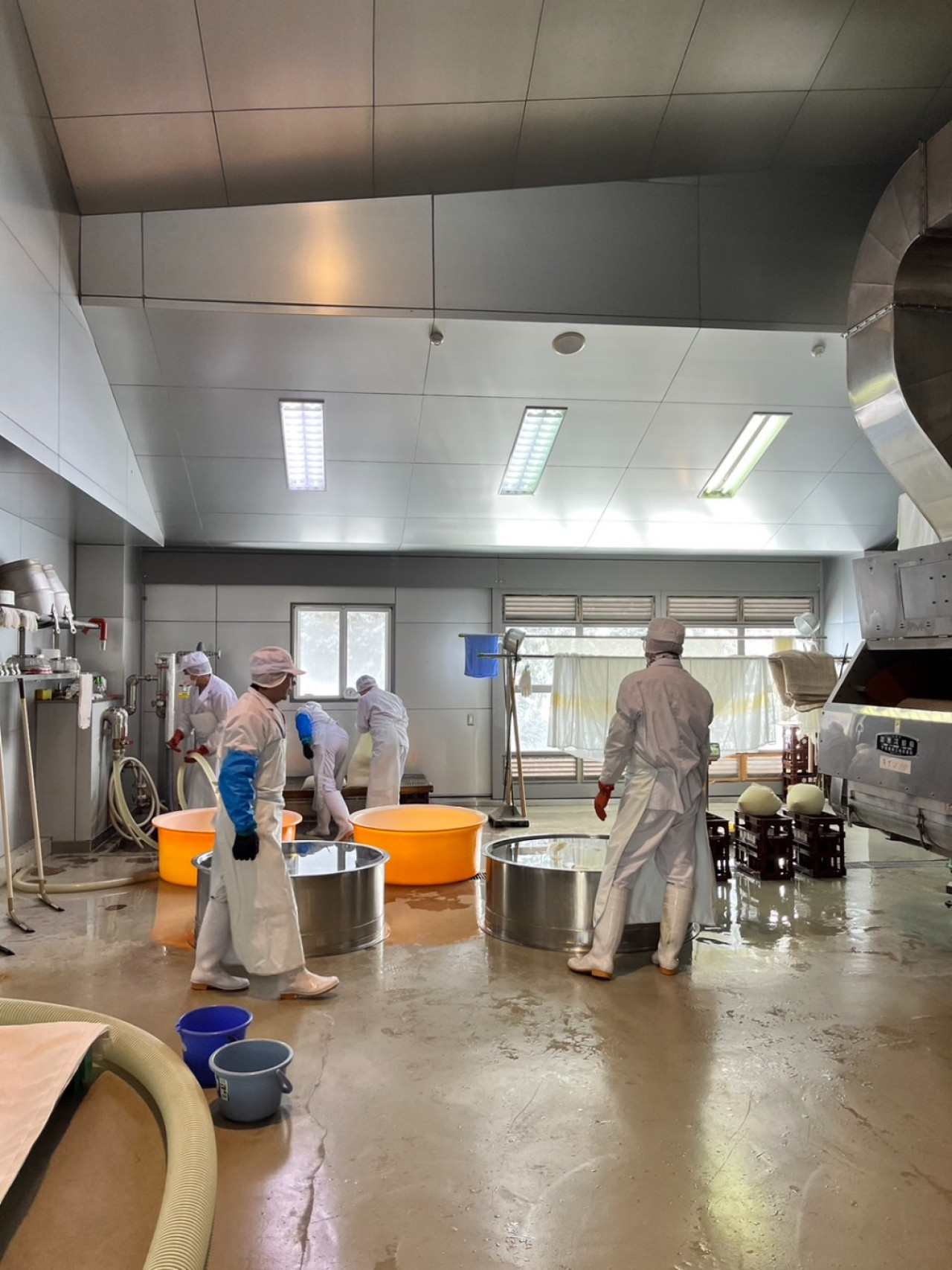 Das Niigata Sake Festival hat begonnen! Bei einer Führung durch die Tsunan-Brauerei erhalten Sie einen Einblick in den Produktionsprozess!