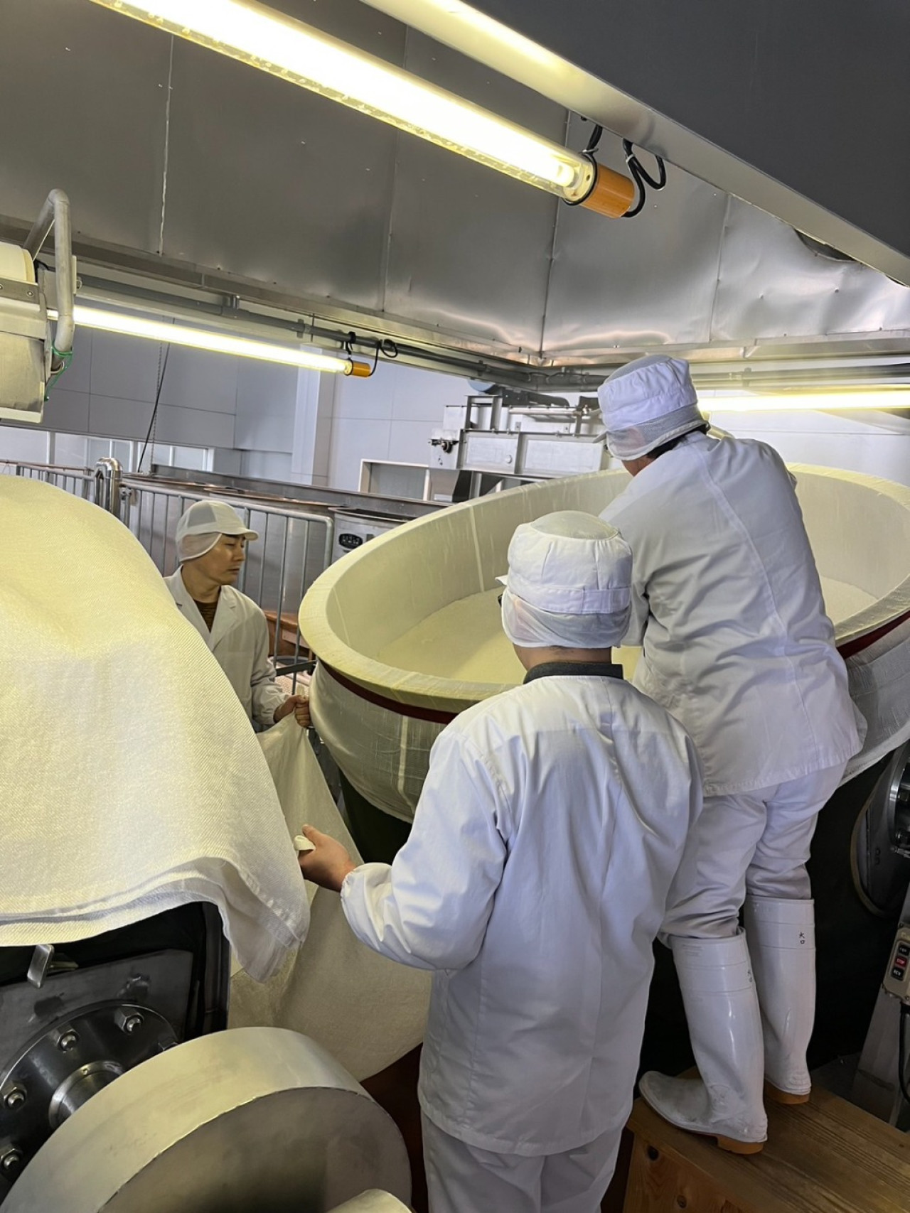 The Niigata Sake Festival has started! A tour of the Tsunan Brewery brewery includes a look at the production process!