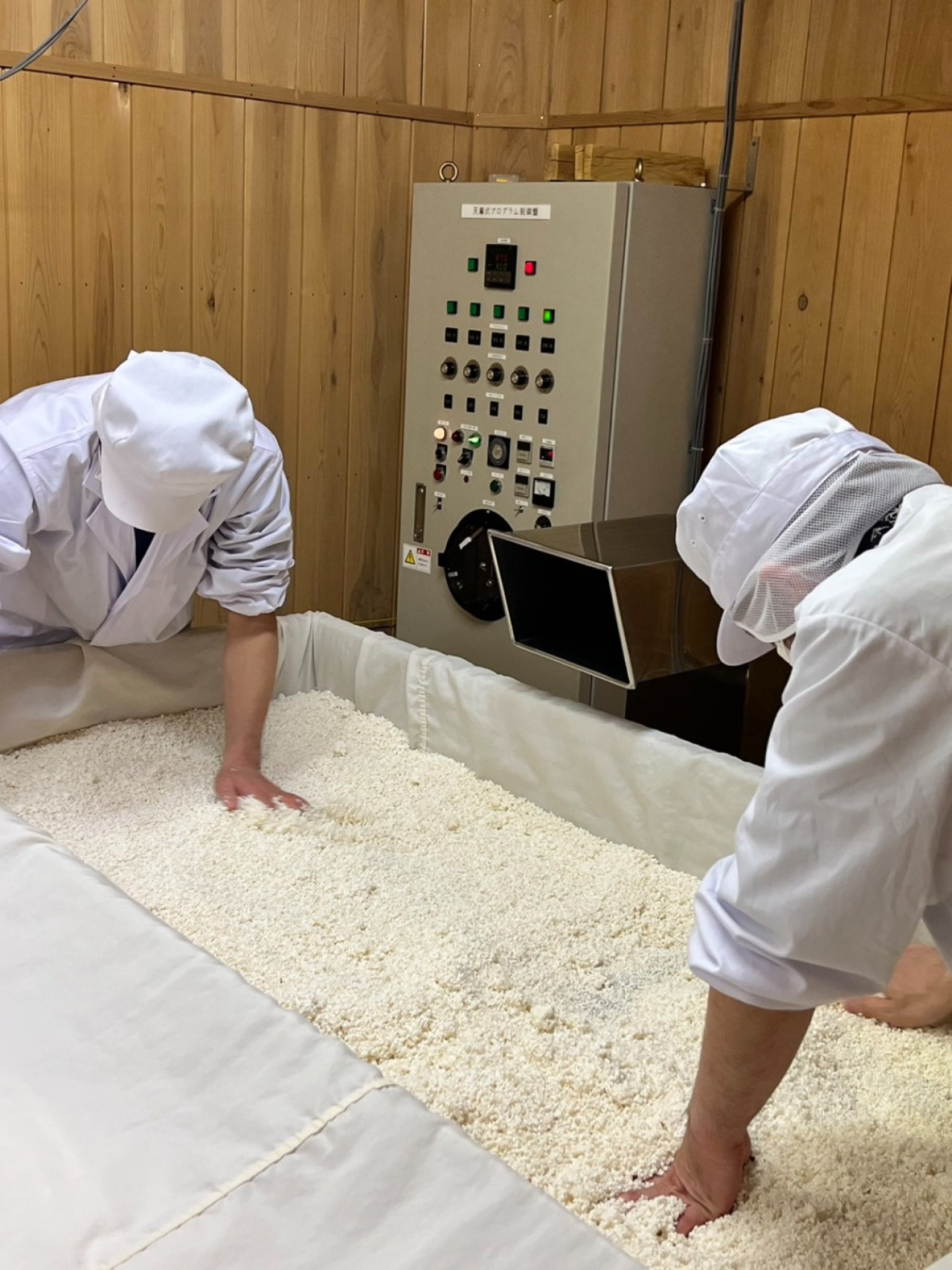 This is a view of koji making in the koji room, which is not normally open to the public. It takes about two days to make koji, which is essential for sake.