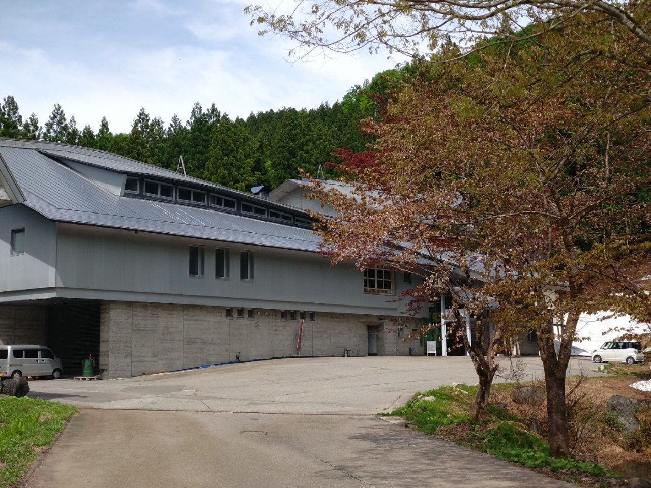 ゴールデンウィークも終わり津南町(新潟県)は葉桜の季節へ✨5月の土曜日はグルメイベントも開催🍴🍶
