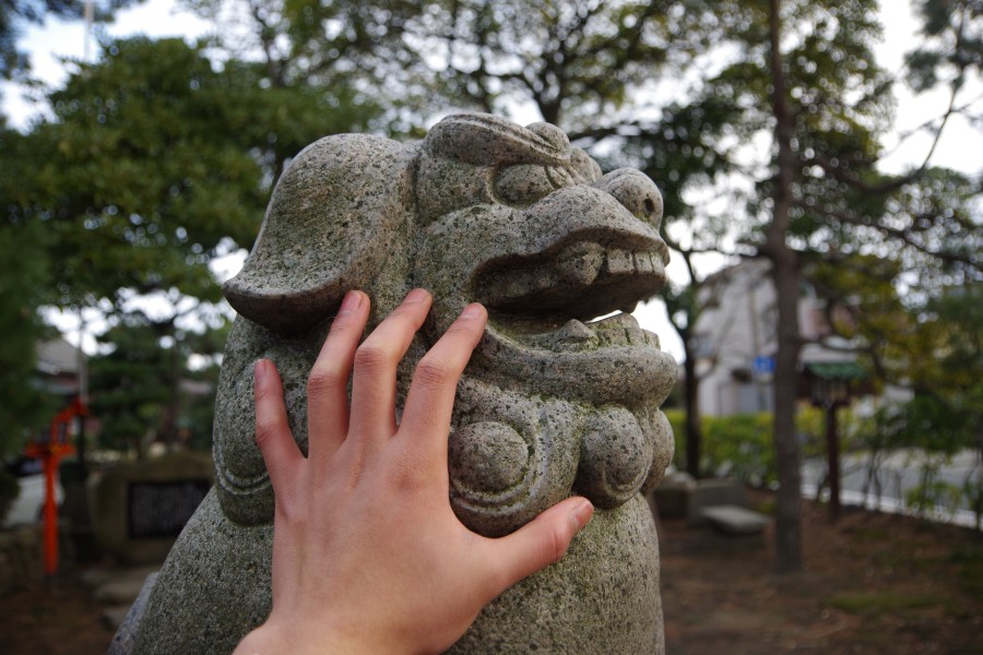 Turn the komainu! Bind the foxes! I visited Minato Inari Shrine in Niigata City.