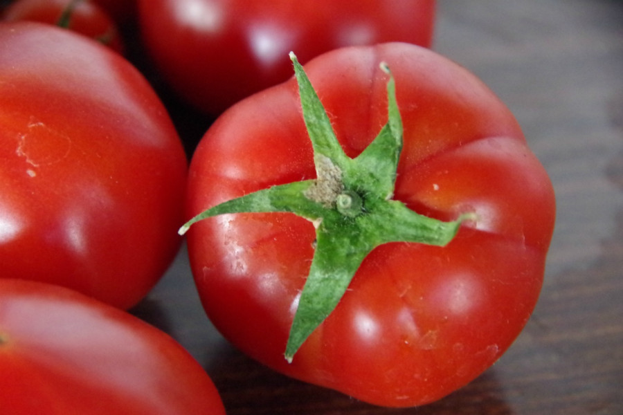 Tomatoes from Soga Farm at their best time of year!