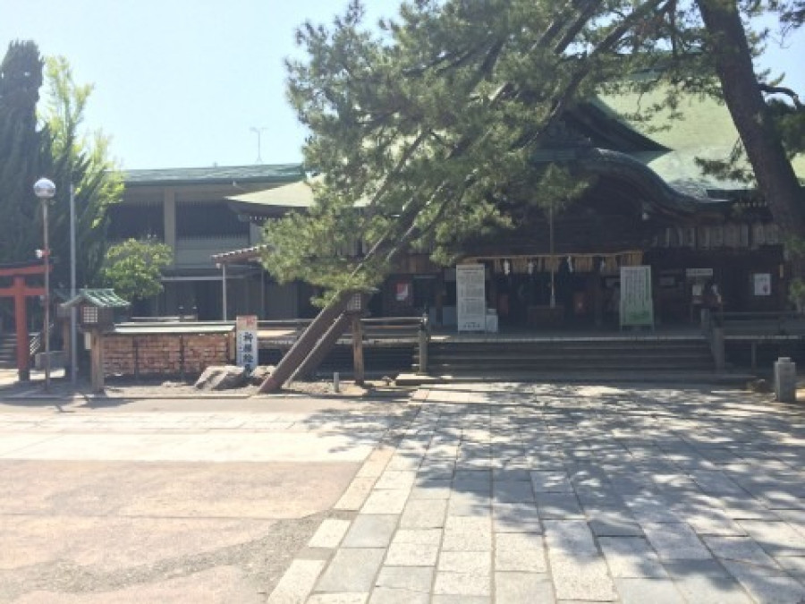 A secret underground passageway in Hakusan Shrine! The pathway leads to a place associated with Yoshida Shoin!