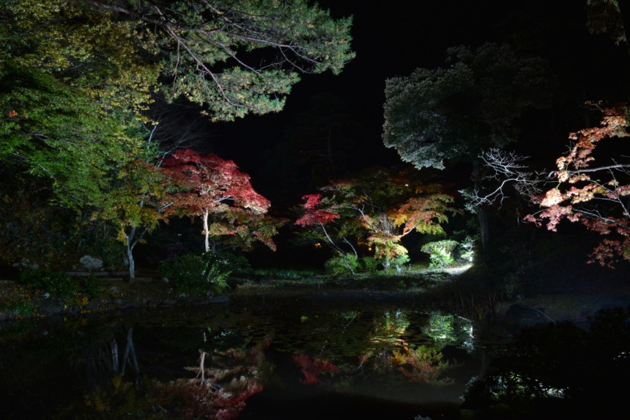 ～Niigata Maple Tree Journey - Autumn scenery with a variety of atmospheres. Find your favourite place!