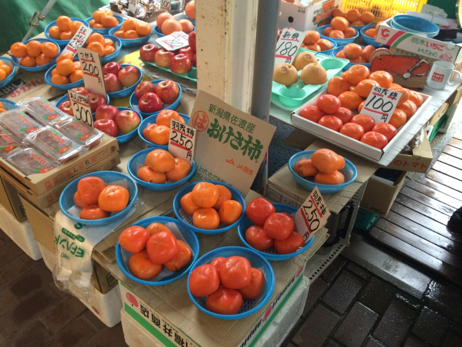 Niigata dialect is spoken! A raid on the Honmachi Shimo Market, lined with stalls of all sizes!