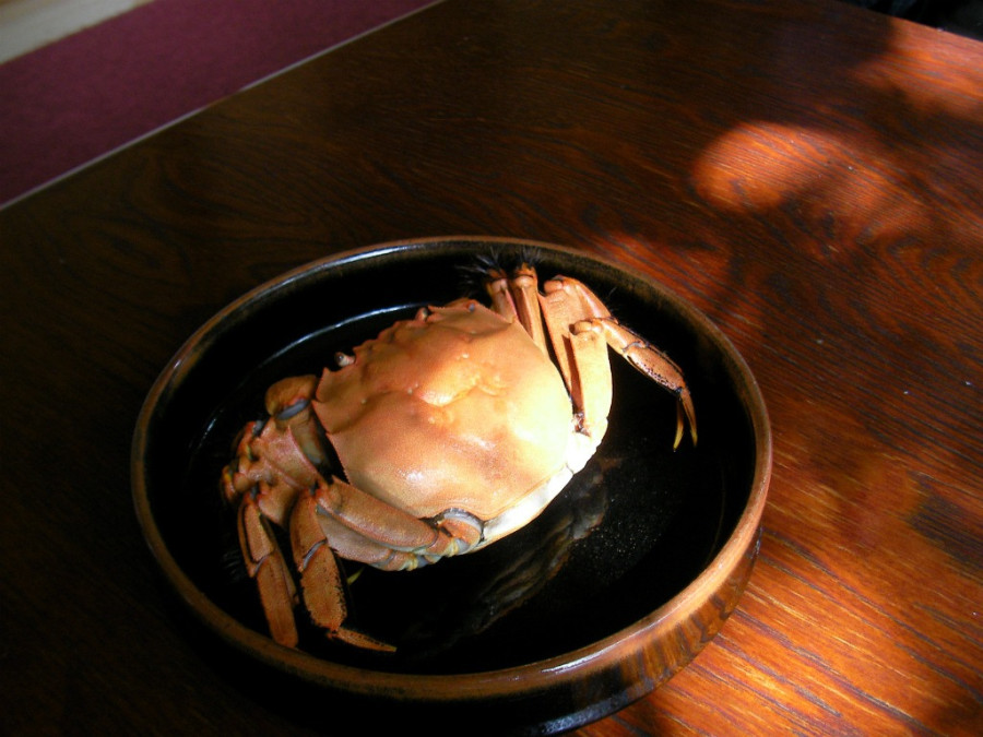 Let's go eat crab... a close relative of that luxury food, Shanghai crab! Delicious crabs available in Aga Town