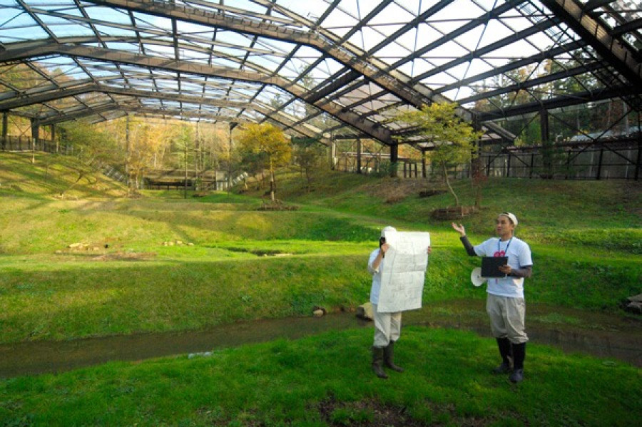 This is the front line of ibis release! 'Reintroduction Station' Open to the public for one day a year!