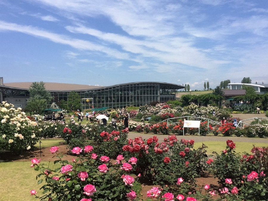 Recommended early summer outdoor dates! -Nagaoka City, Echigo Hillside National Park