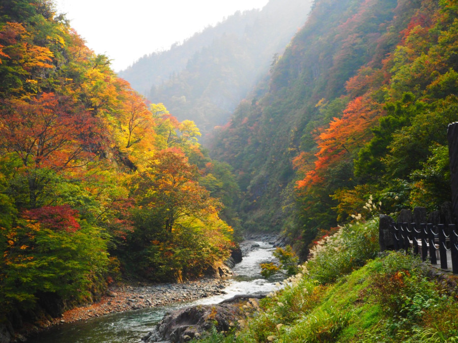 ≪Welcome to the unexplored region≫ The Nakasato area of Tokamachi City was full of autumn leaf colour spots! ≪Three great gorges of Japan, Kiyotsukyo ≫.