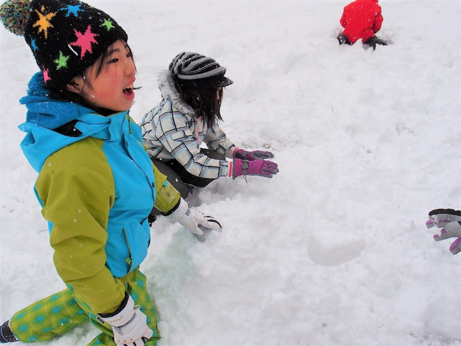 Let's play with nature in Takayanagi, Kashiwazaki! Let's learn with nature! Practice of entering the "Children's Nature Kingdom".