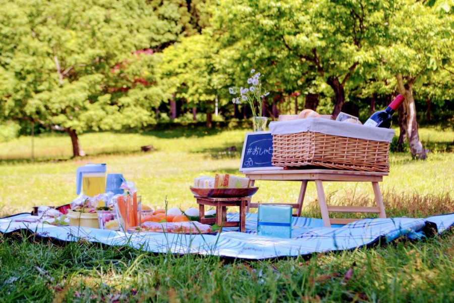 We 'chatted' in the satoyama of Tainai, dazzling with fresh greenery!