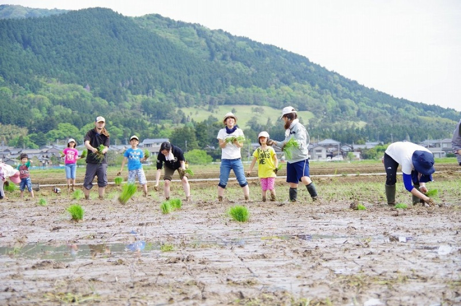 Do you have a 'go-to field'? Weekend farming and breakfast group 'Makidoki Village', active in 2018!