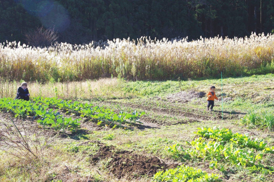 Happy everyday life where children can come into contact with the soil