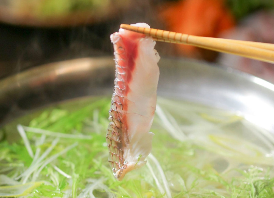 Sake, fish, vegetables and meat in Niigata, a treasure trove of ingredients!  From Kamifuru to Furumachi, three izakayas loved by locals