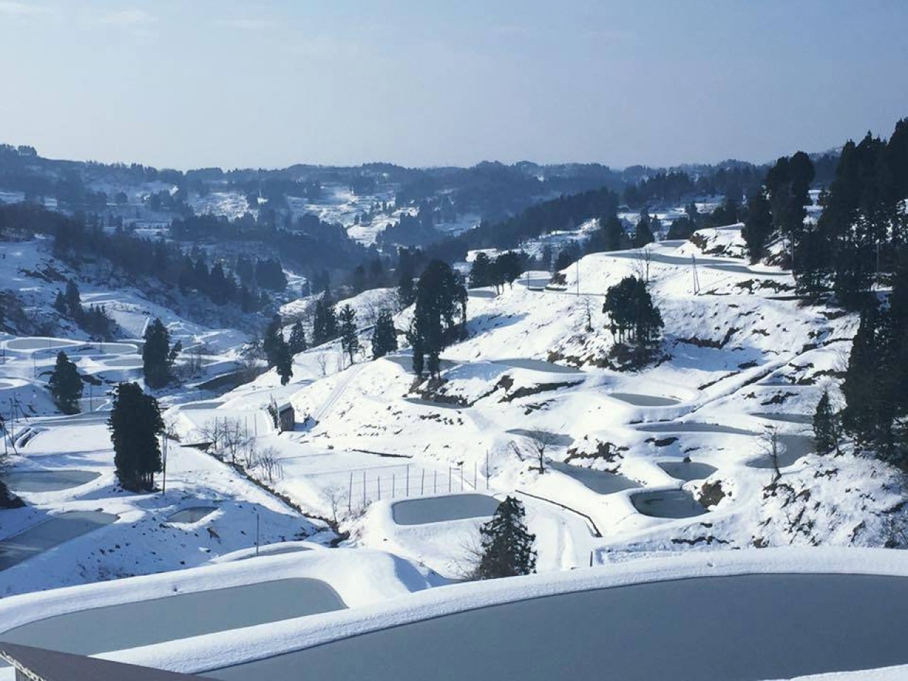 '你为什么继续住在雪国？基本知识，尖锐地回答 