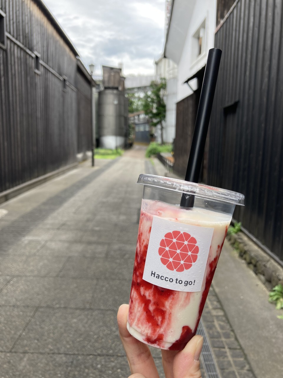 Desfrute da cultura de fermentação do Japão Experimente pela primeira vez os batidos de sakekasu que só podem ser encontrados aqui no popular Setsudaya de Niigata!