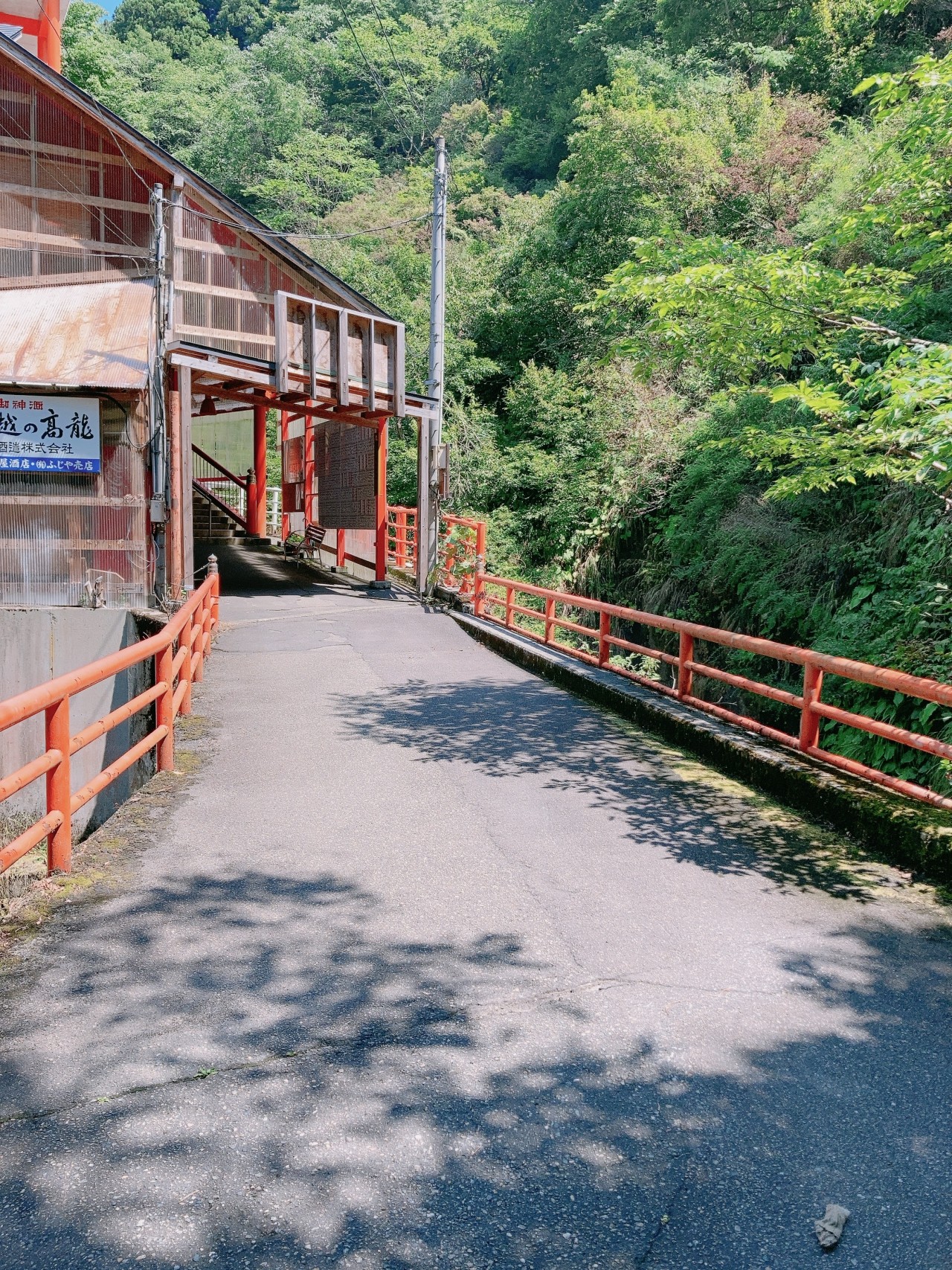 新潟県長岡市の蓬平温泉地区にある「高龍神社」