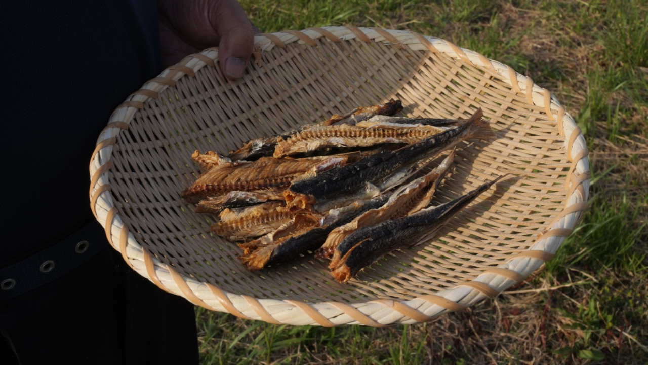 隠れ名物 島そばを知る　